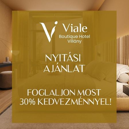 Viale Boutique Hotel Villány Exteriér fotografie